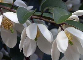 756212-p4115776 — kopiya